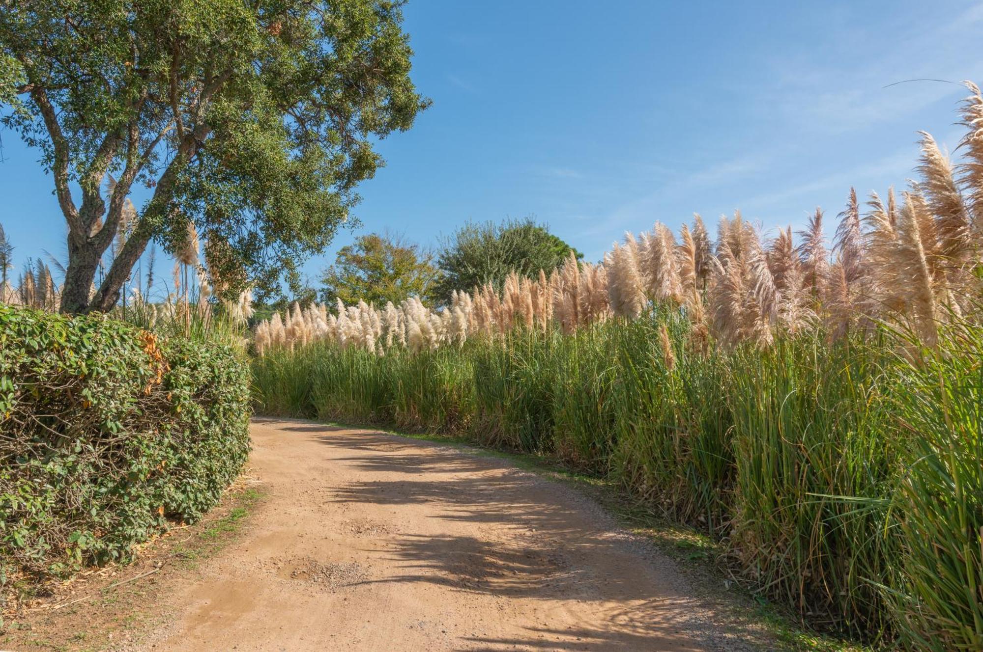 Residence Domaine De Caranella Порто-Веккьо Экстерьер фото